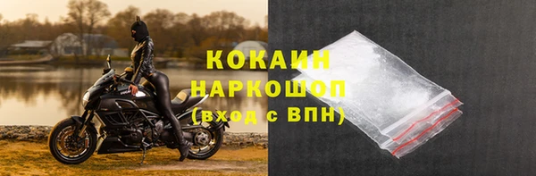 дмт Осинники