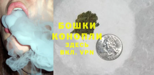 spice Осташков