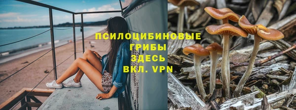 spice Осташков