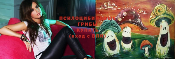 соль курить ск Абаза