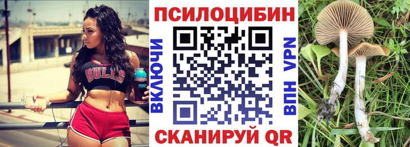 Псилоцибиновые грибы Magic Shrooms  где продают   Кедровый 